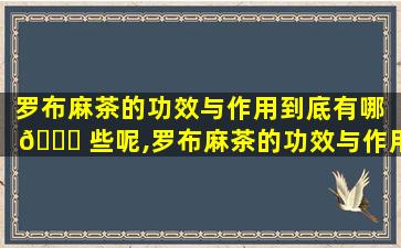 罗布麻茶的功效与作用到底有哪 🐈 些呢,罗布麻茶的功效与作用到底有哪些呢*